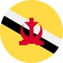 Brunėjaus doleris